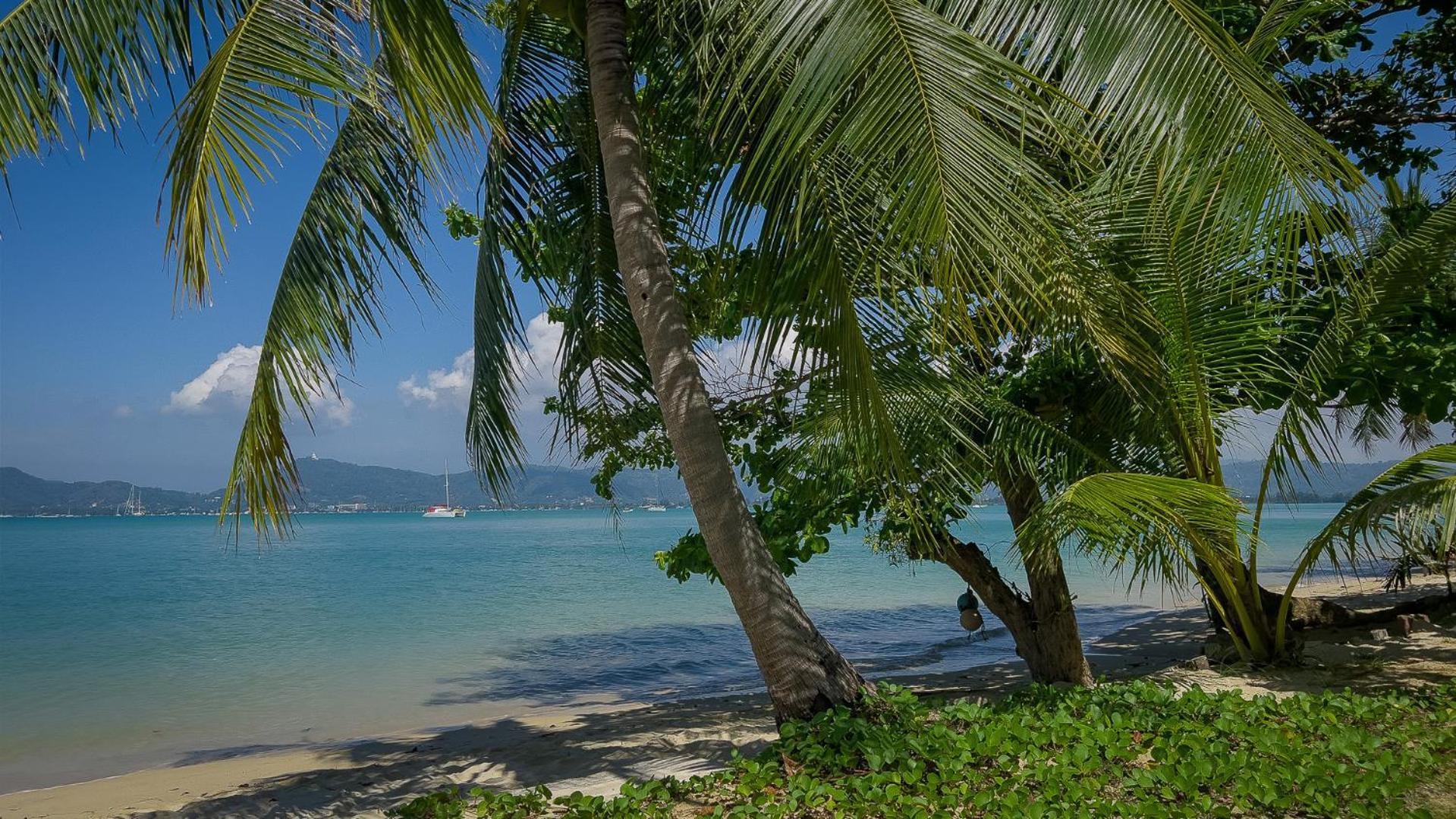 Soul Villas - Beachfront Private Pool Villas, Phuket Nature Retreat Panwa Beach Eksteriør bilde